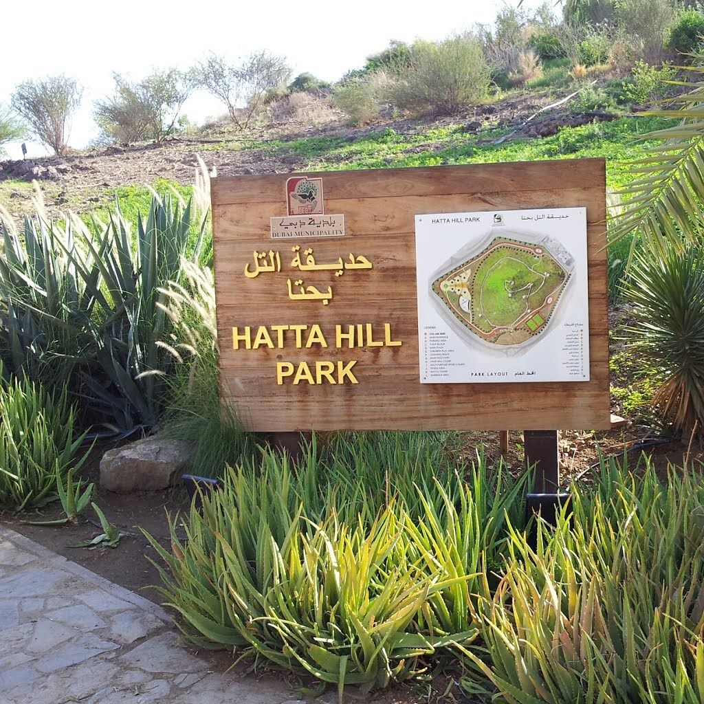 Hatta-Hill-Park
